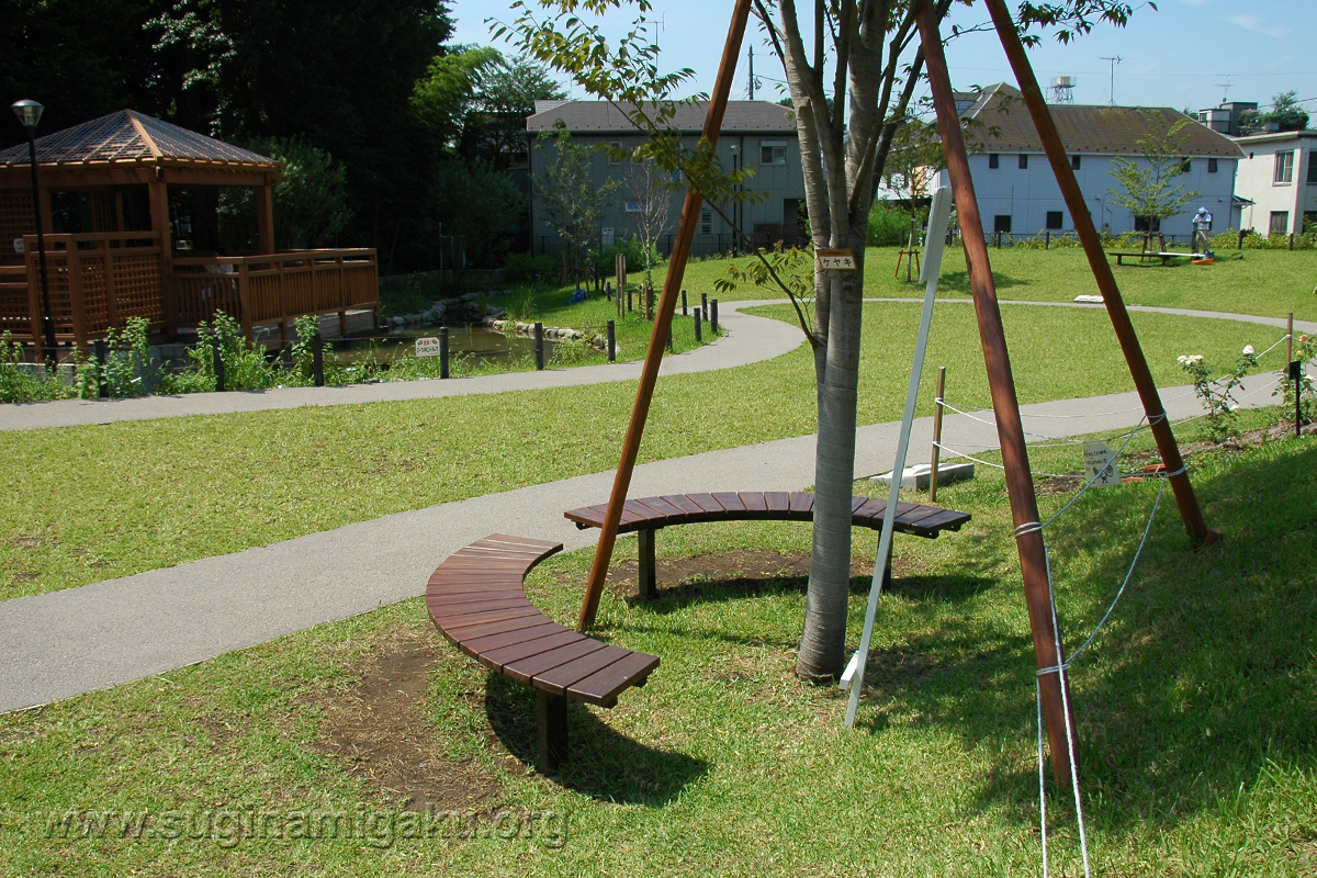 荻窪・読書の森公園