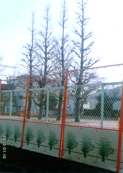 区立荻窪小学校移転の跡地(1)