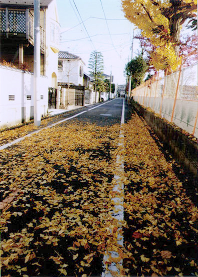 区立荻窪小学校移転の跡地(2)